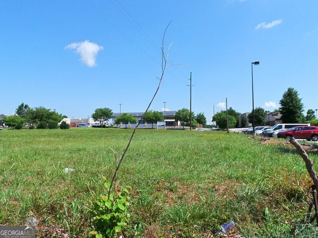 a view of yard with green space