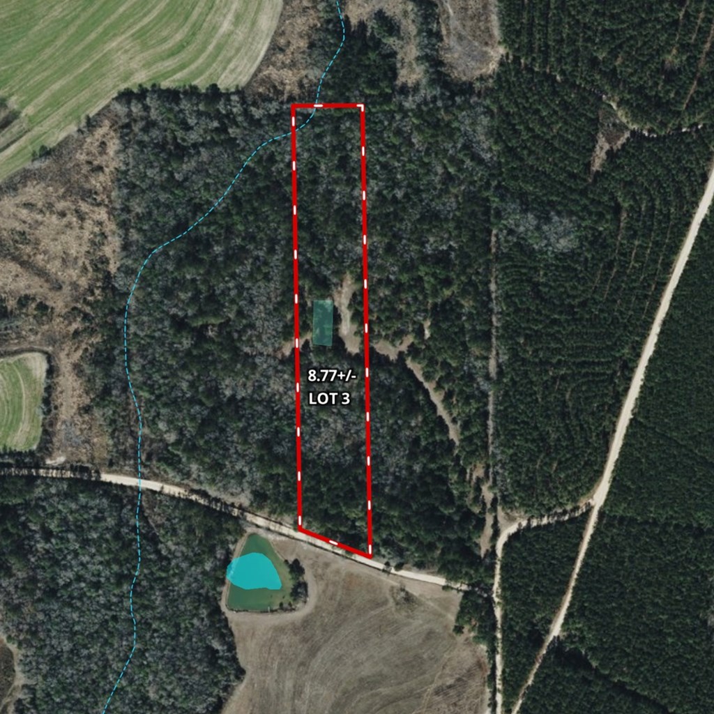 Lot #3 Crosby Clark Road Opp, AL 36467 - Photo 13 of 15