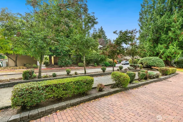 a view of a garden with a bench