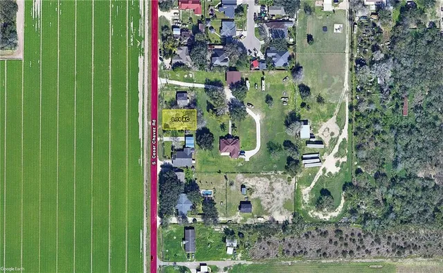 a bird view of flowers and flowers