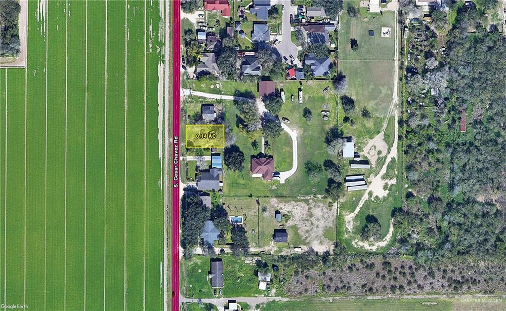 a bird view of flowers and flowers