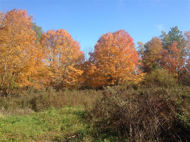 613 Wallingford Pond Road Wallingford, VT 05742 - Photo 2 of 28