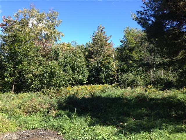 613 Wallingford Pond Road Wallingford, VT 05742 - Photo 11 of 28