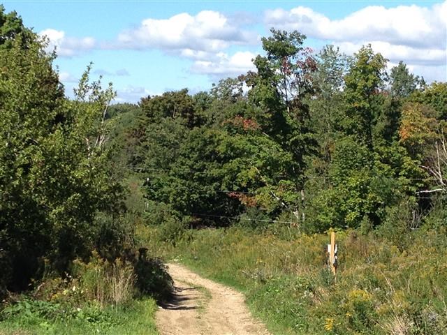 613 Wallingford Pond Road Wallingford, VT 05742 - Photo 13 of 28