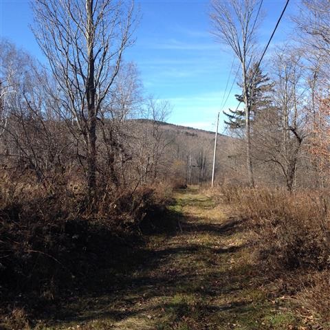 613 Wallingford Pond Road Wallingford, VT 05742 - Photo 15 of 28