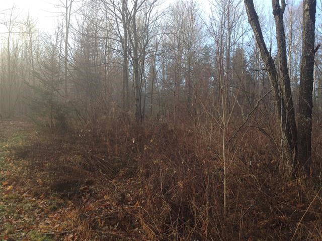 613 Wallingford Pond Road Wallingford, VT 05742 - Photo 17 of 28
