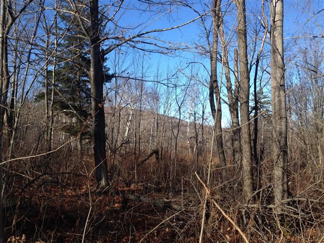 613 Wallingford Pond Road Wallingford, VT 05742 - Photo 19 of 28