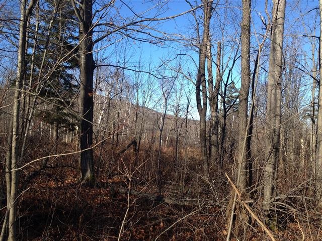 613 Wallingford Pond Road Wallingford, VT 05742 - Photo 20 of 28