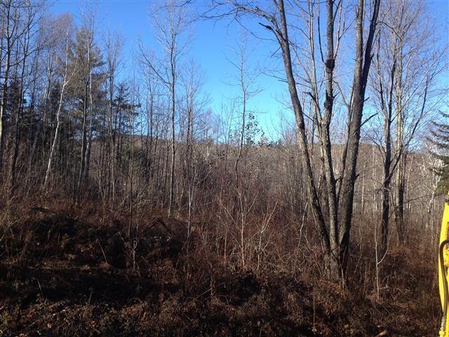 613 Wallingford Pond Road Wallingford, VT 05742 - Photo 21 of 28