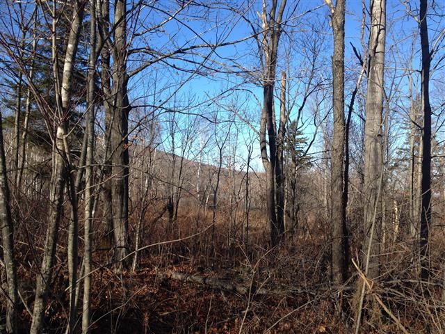 613 Wallingford Pond Road Wallingford, VT 05742 - Photo 22 of 28