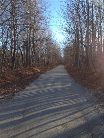613 Wallingford Pond Road Wallingford, VT 05742 - Photo 23 of 28