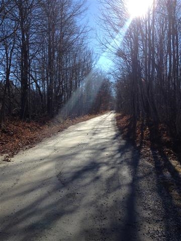 613 Wallingford Pond Road Wallingford, VT 05742 - Photo 24 of 28