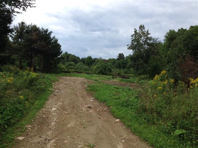 613 Wallingford Pond Road Wallingford, VT 05742 - Photo 10 of 28