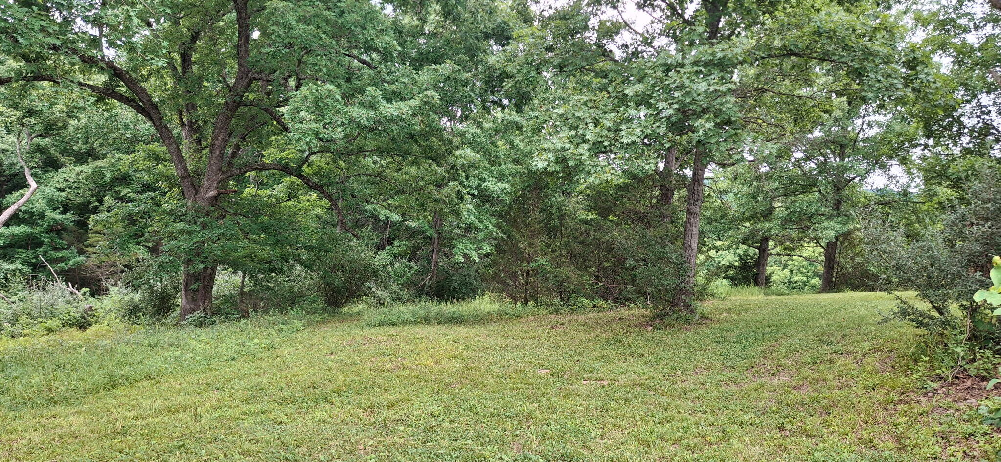 0 Tract 2 Cordova Road Williamstown, KY 41097 - Photo 5 of 5 1000054805