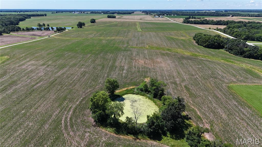 96.59 Acres Rock Road Bellflower, MO 63333 - Photo 7 of 21
