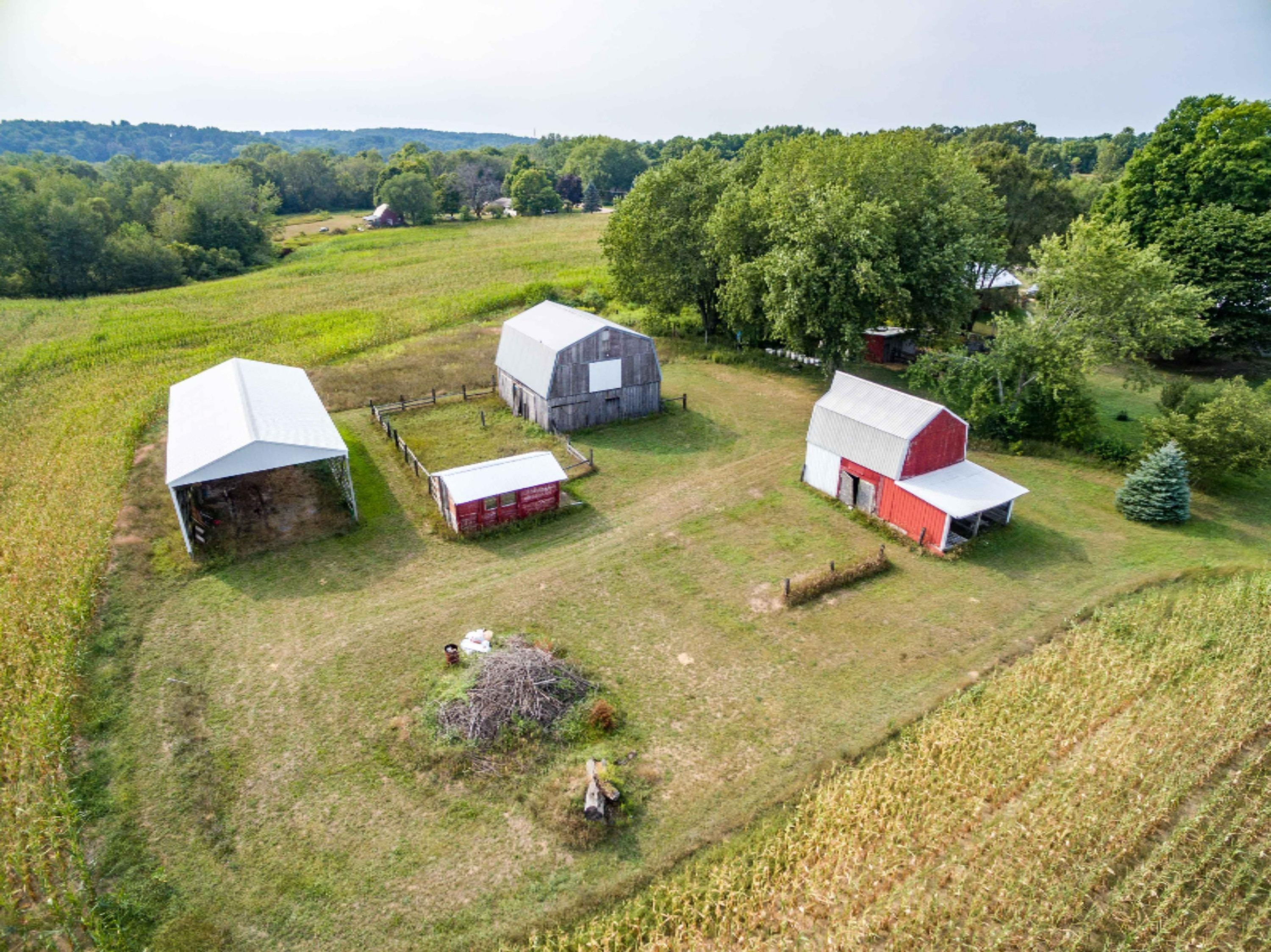 DJI_0817