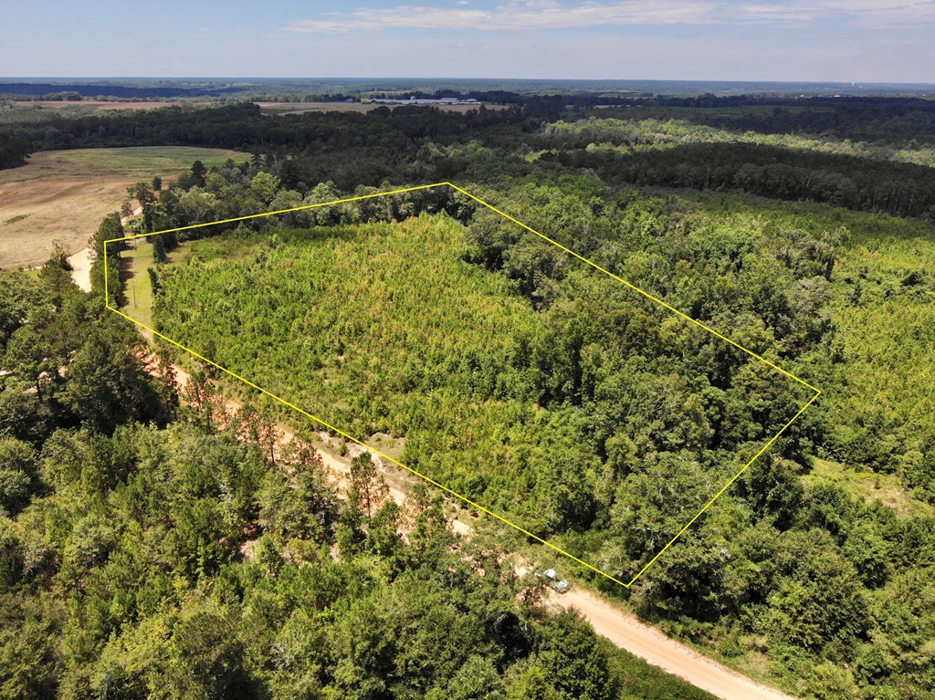 5-acres Old Elba Road Coffee Springs, AL 36318 - Photo 17 of 18