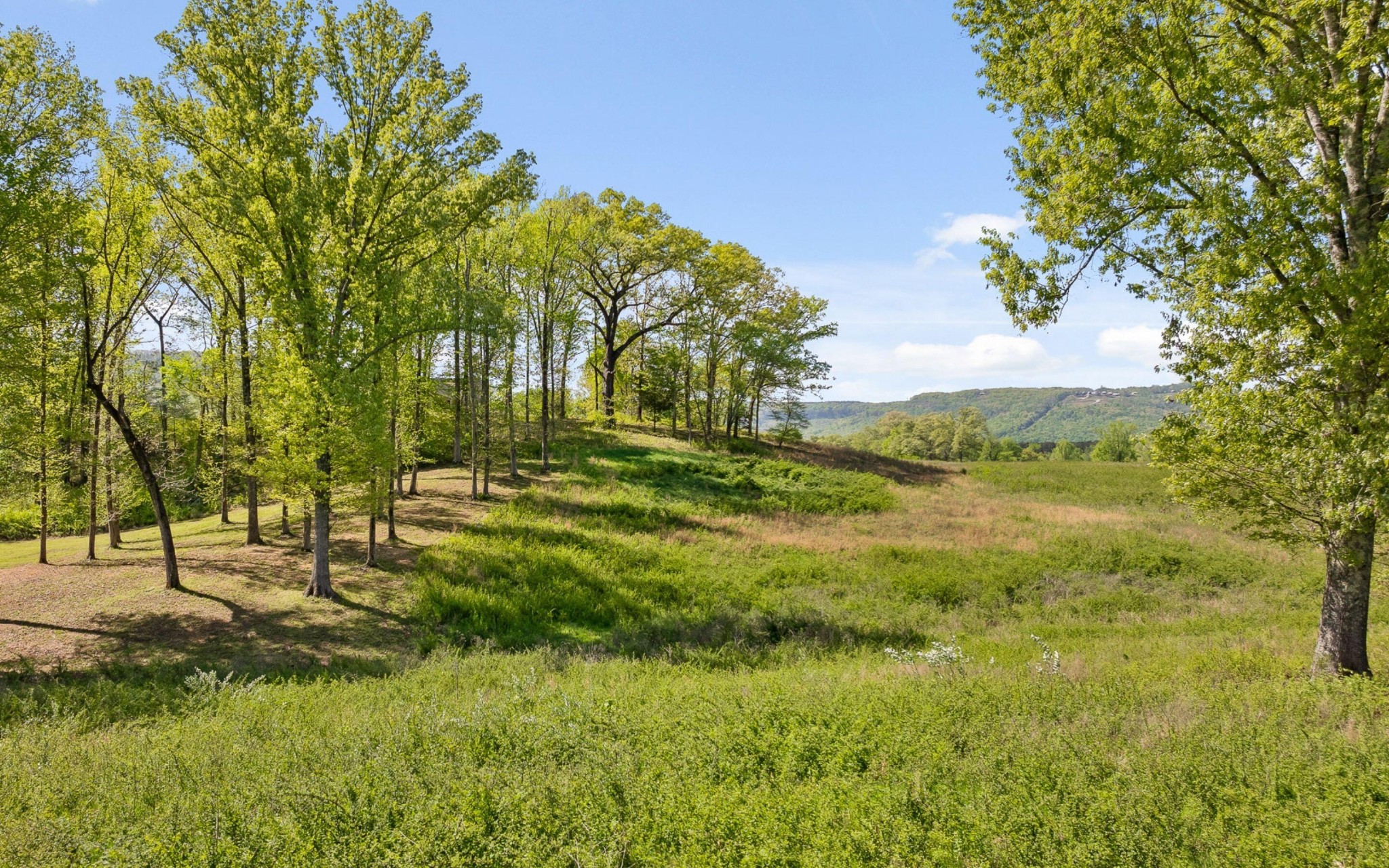 0 Edgewater Way Jasper, TN 37347 - Photo 14 of 26 a view of yard with green space