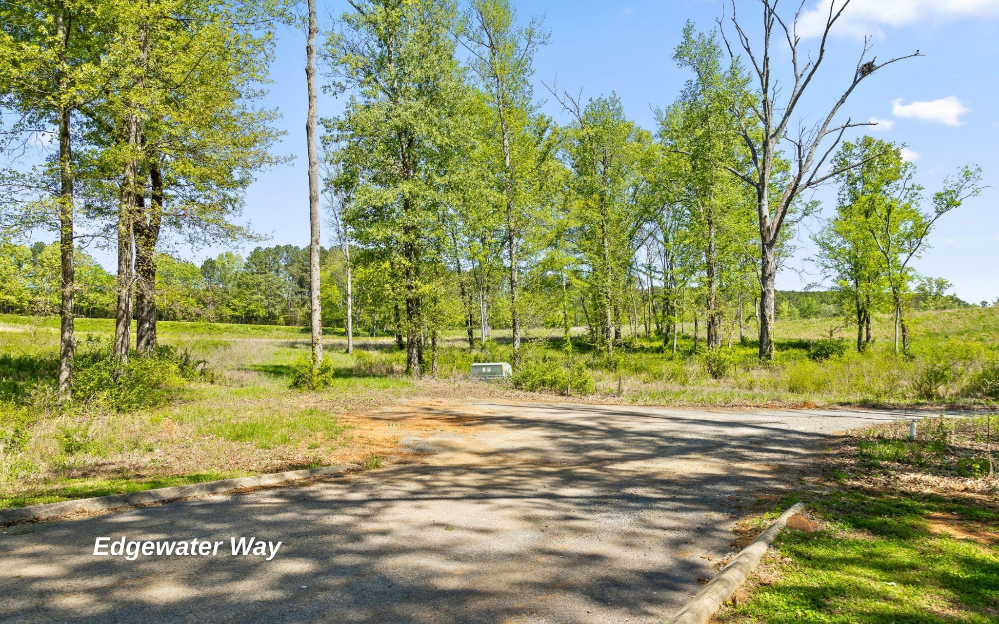 0 Edgewater Way Jasper, TN 37347 - Photo 16 of 26 a view of a yard with plants and trees