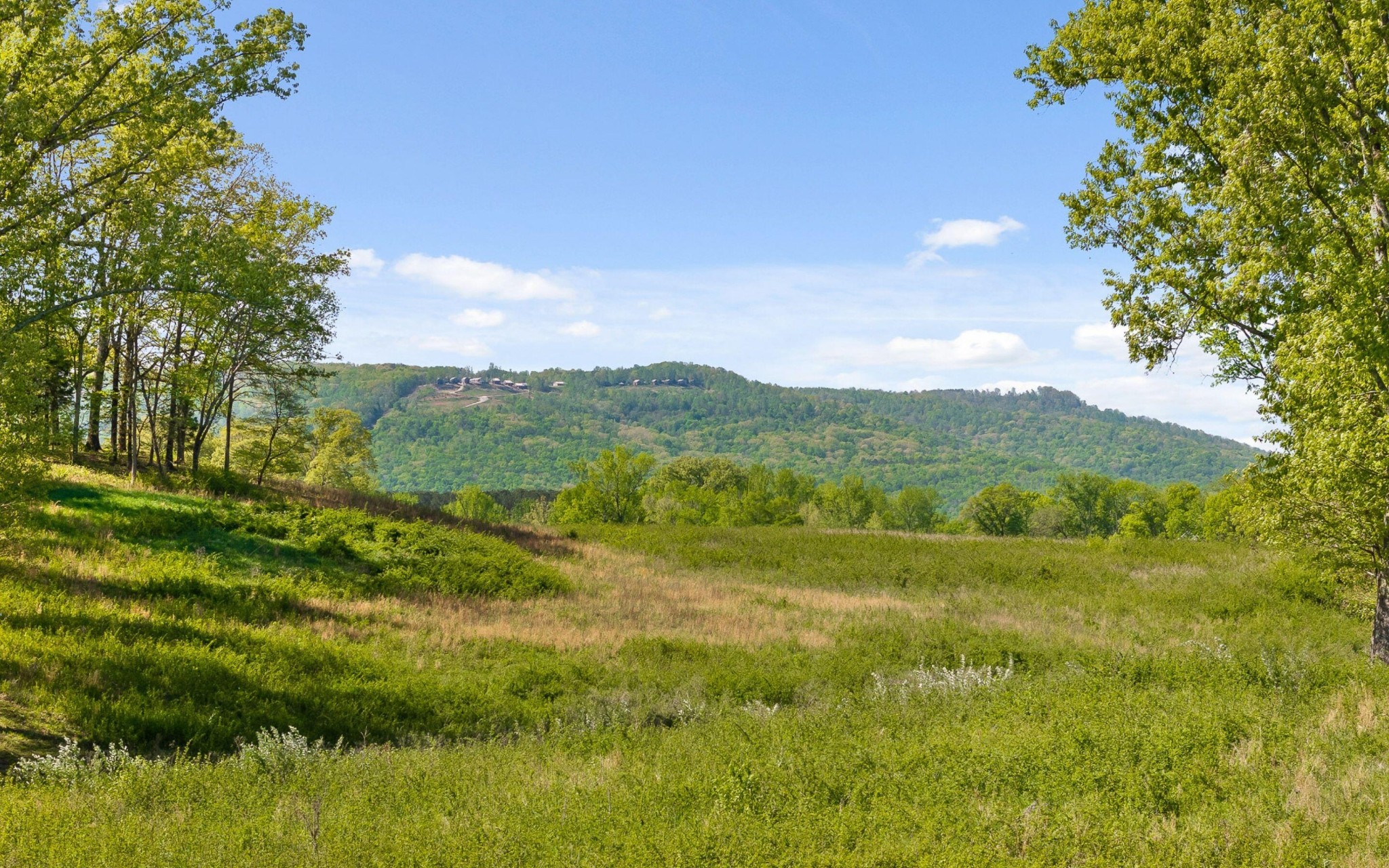 0 Edgewater Way Jasper, TN 37347 - Photo 4 of 26 a view of an outdoor space and a yard