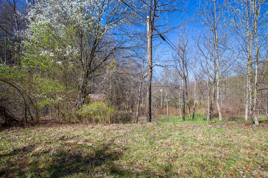 95 Cateye Road Robbinsville, NC 28771 - Photo 10 of 18 Gallery Image 10
