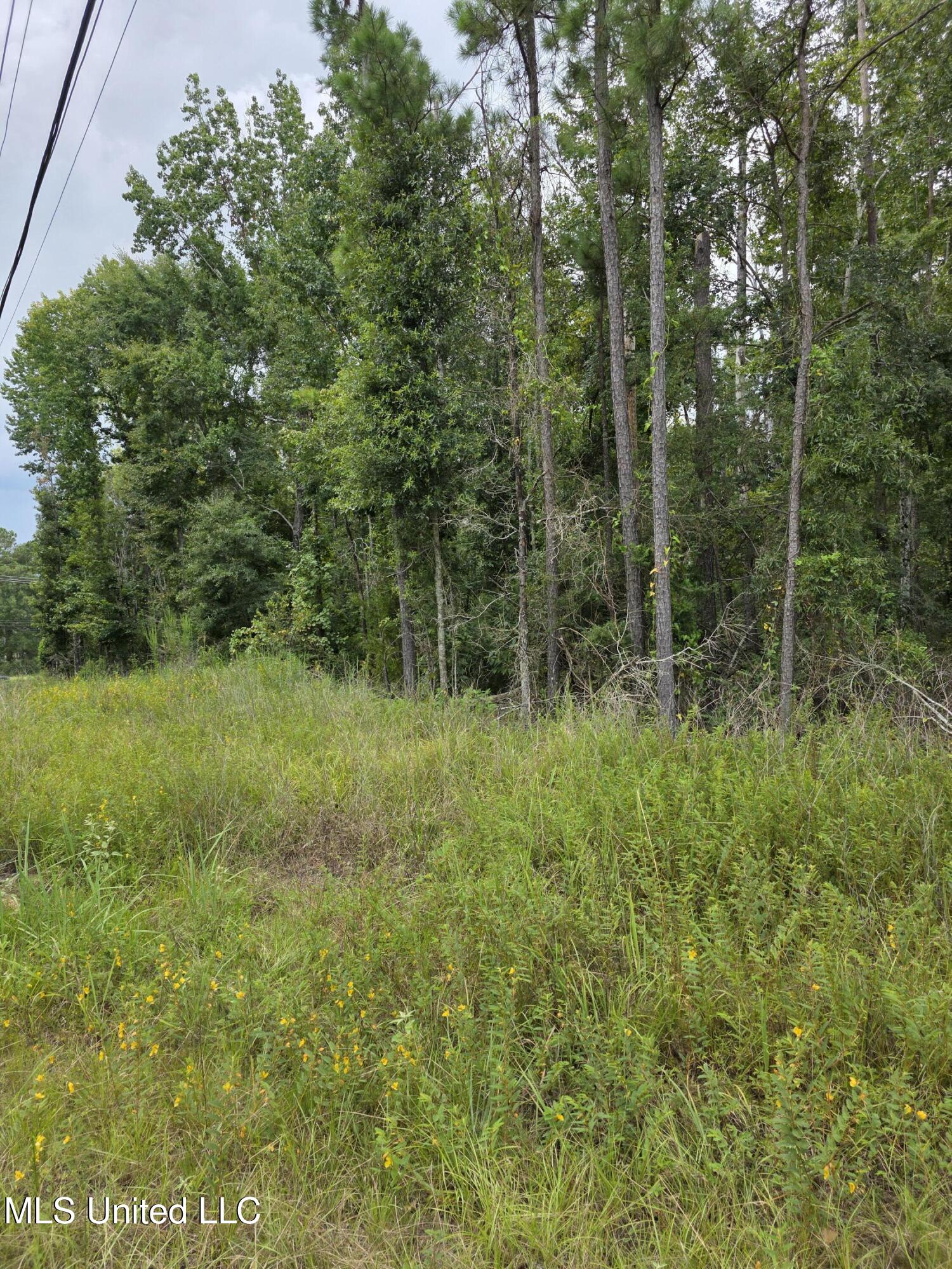 51 Us Brookhaven, MS 39601 - Photo 9 of 23 15506