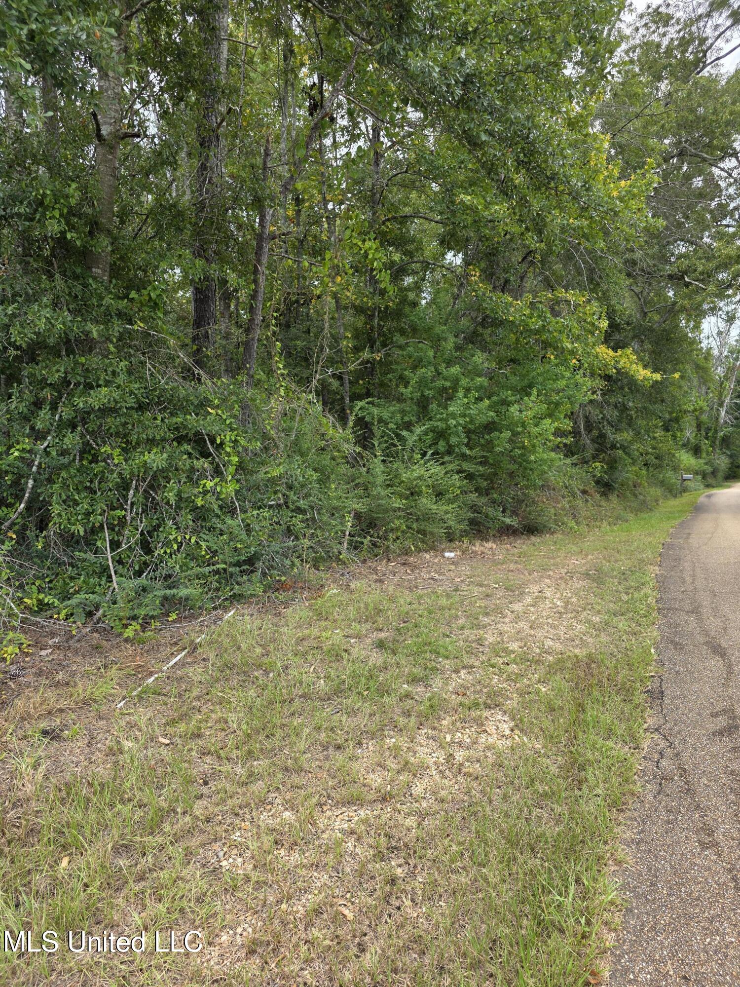 51 Us Brookhaven, MS 39601 - Photo 10 of 23 15507