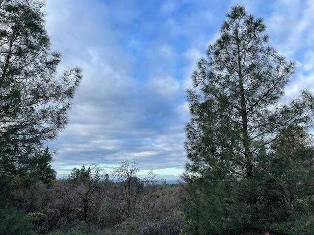 160 Ac Road Oak Run, CA 96069 - Photo 14 of 39 20240322022103327327000000-o