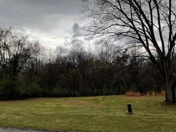 a view of a lake with a yard