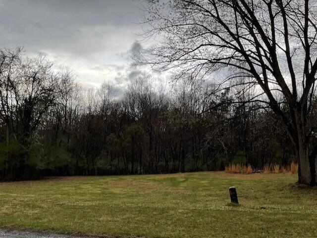 a view of a lake with a yard