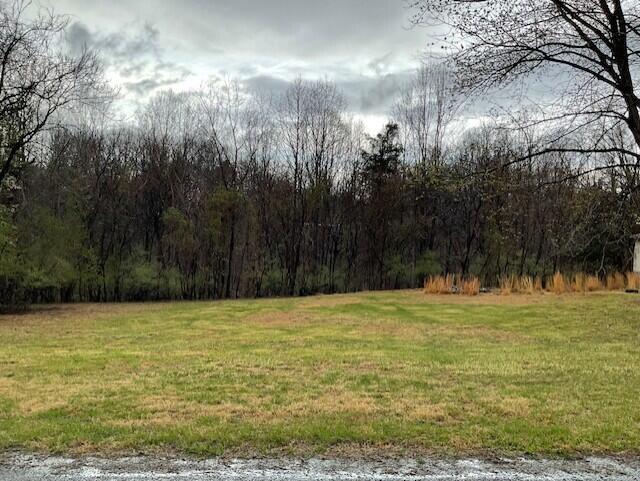 0 Pleasure Point Drive Goodview, VA 24095 - Photo 2 of 7 df104404-9298-4a3d-9345-4bc9370d504a