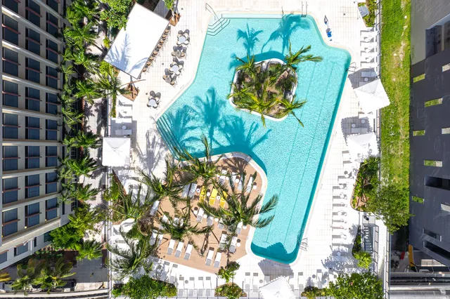 a picture of a flower in a garden