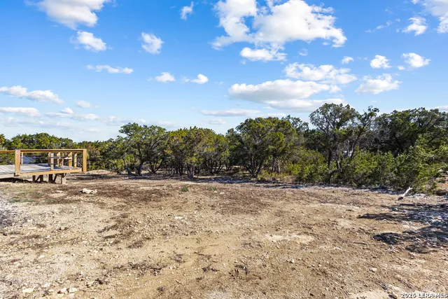 a view of a yard with trees