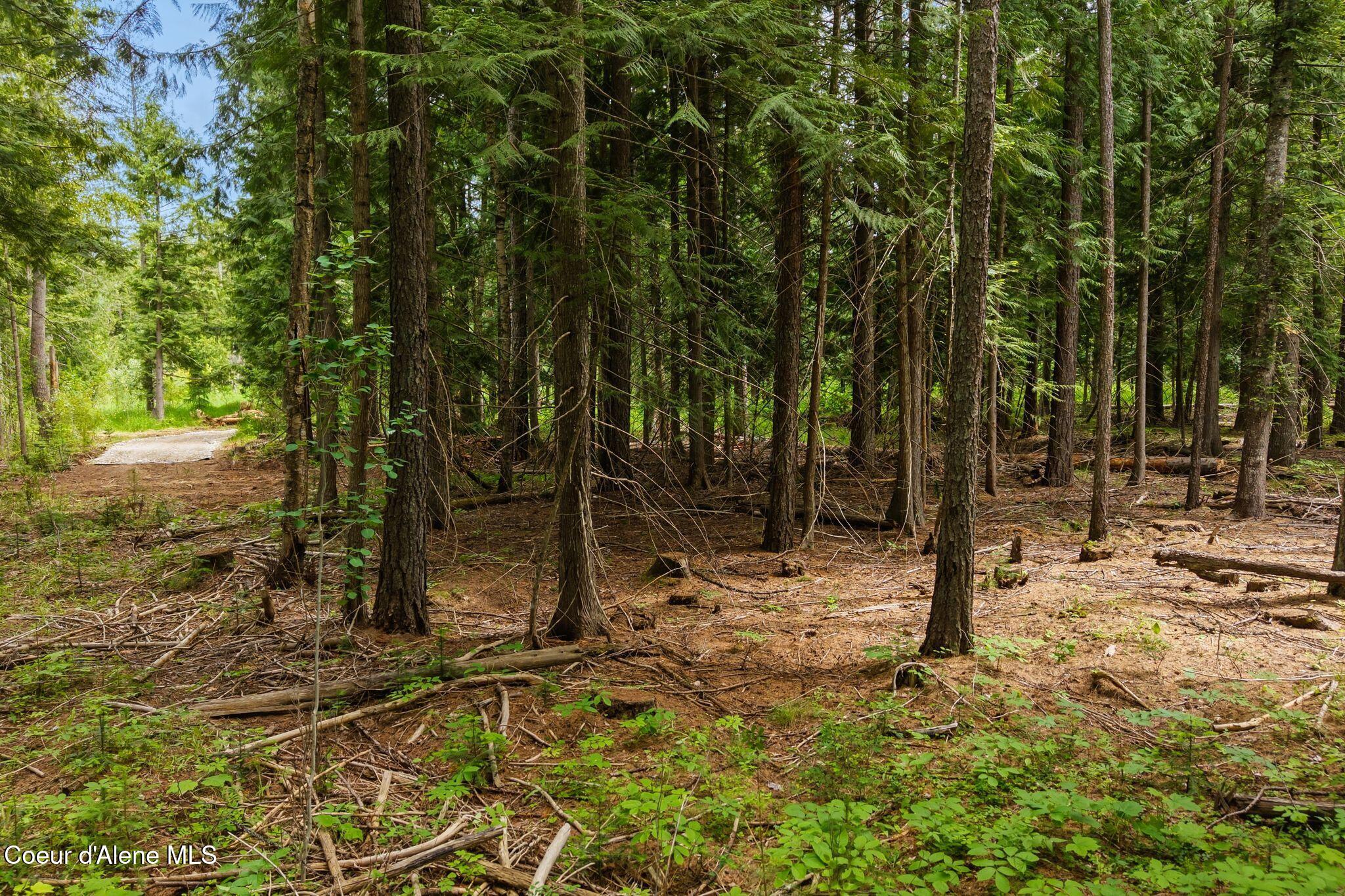 Nka Cedar Springs Road Sandpoint, ID 83864 - Photo 9 of 14 4_DJI_20260603051857_0300_D
