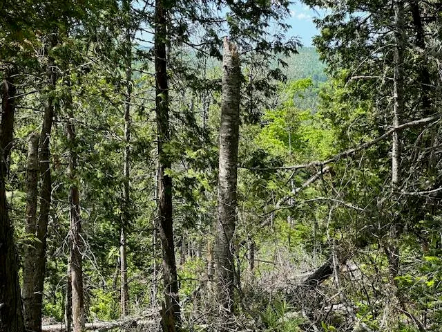 $79,000 | Lot 13 Mt Jefferson Heights, Lee, ME 04455