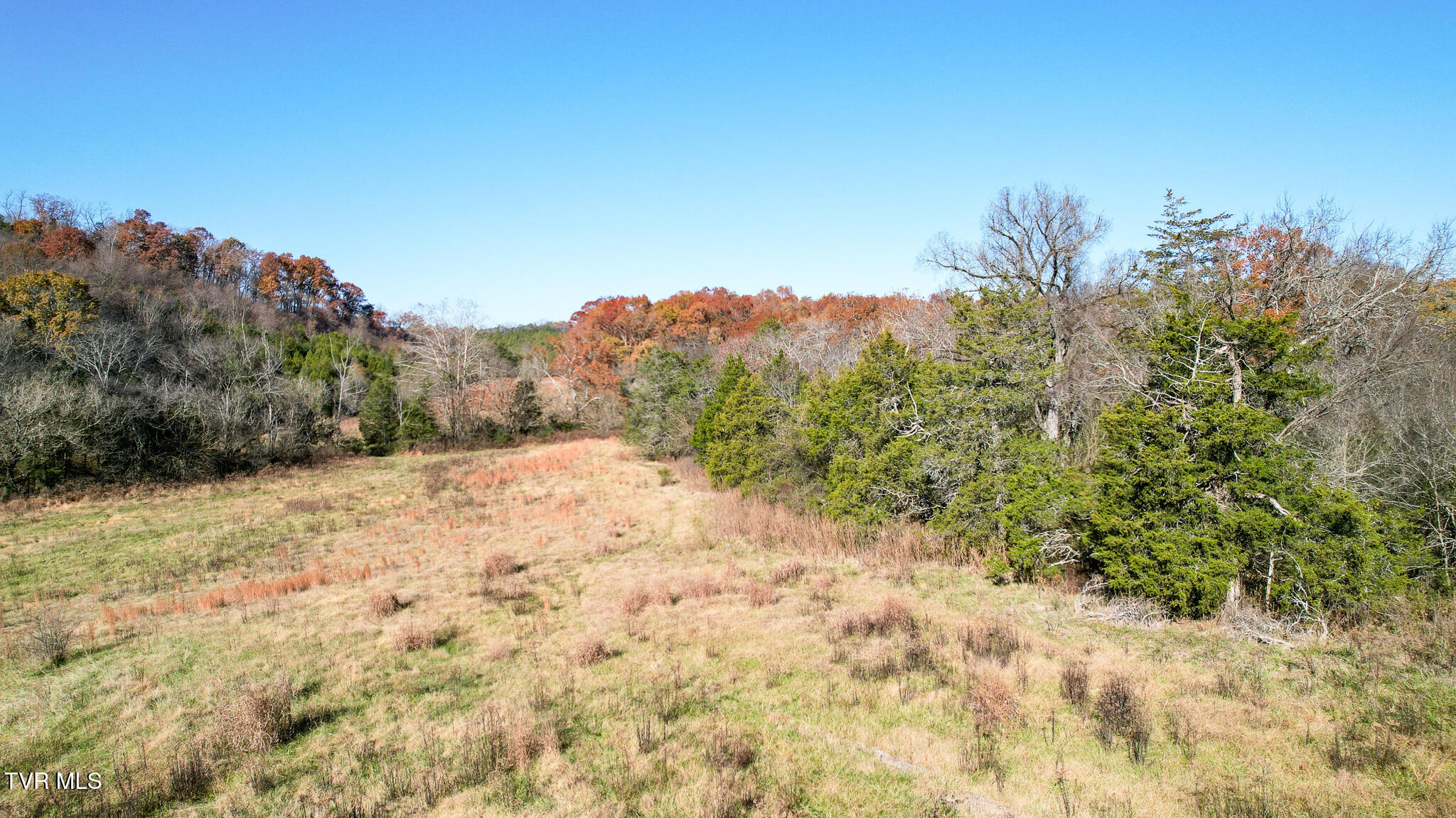 Lot 33 Sinking Springs Road, Unit 33 Midway, TN 37809 - Photo 6 of 31 Lot 33 #4 (2)