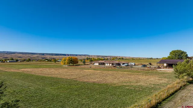 a view of a field with an ocean