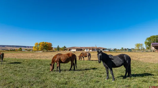 a view of a city with lawn chairs