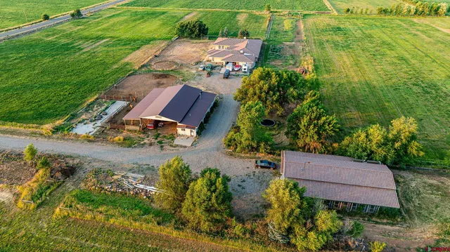 a living room with furniture ceiling fan and a rug