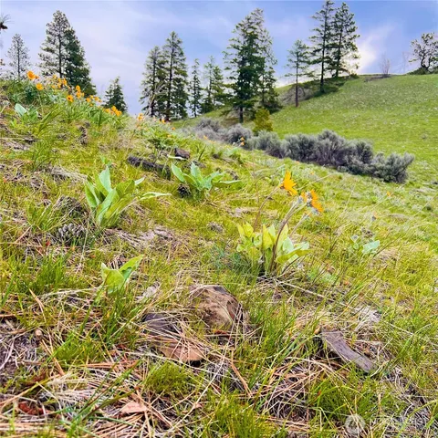 a view of a town with mountains in the background