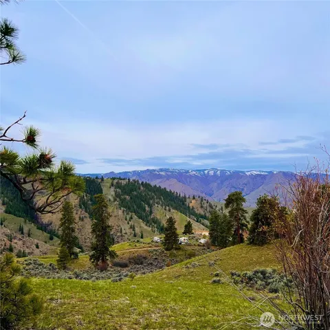 a backyard of a house with a yard and potted plants
