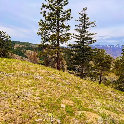 a view of a yard with an ocean view