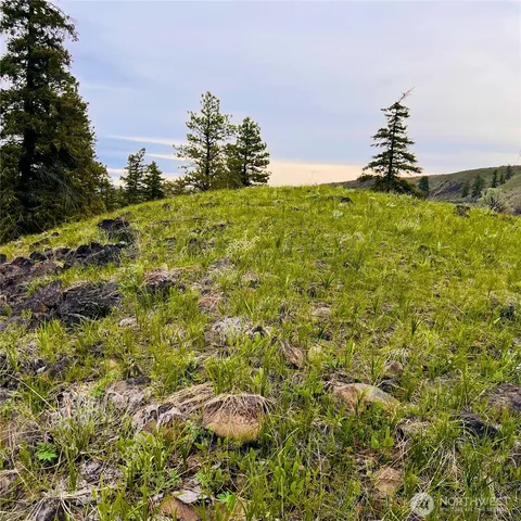 $80,000 | 66 Coyote Lane, Waterville, WA 98858