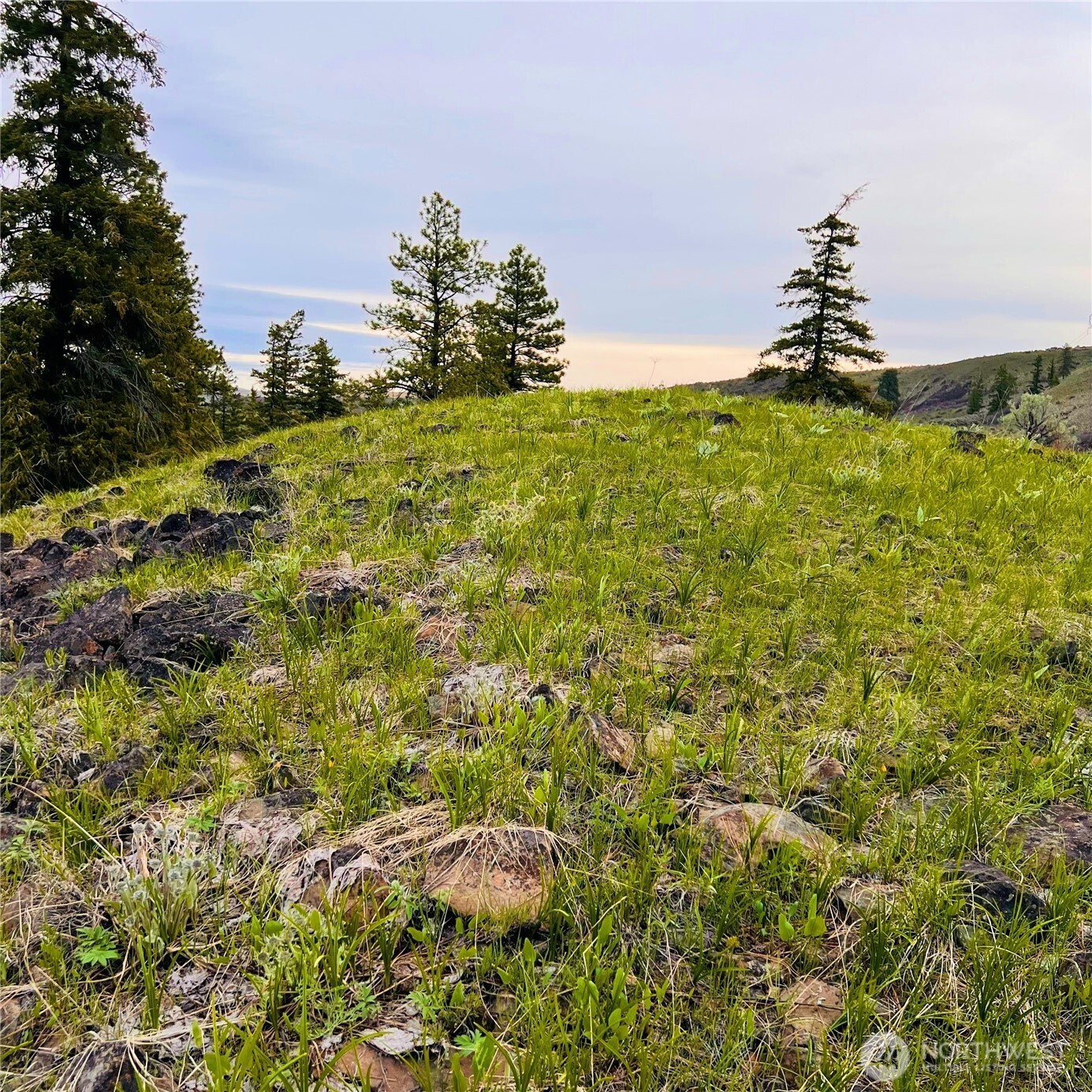 66 Coyote Lane Waterville, WA 98858 - Photo 7 of 9 a backyard of a house with a yard and potted plants