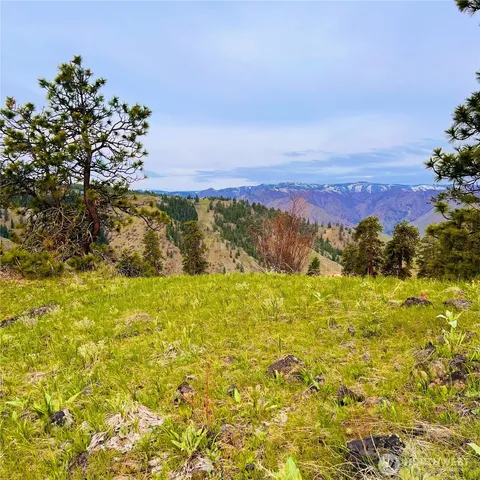 $80,000 | 66 Coyote Lane, Waterville, WA 98858