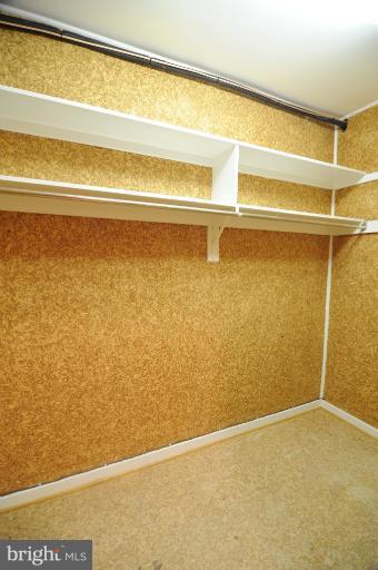 12 Roland Mews, Unit R212 Baltimore, MD 21210 - Photo 24 of 30 Walk in Cedar Closet\