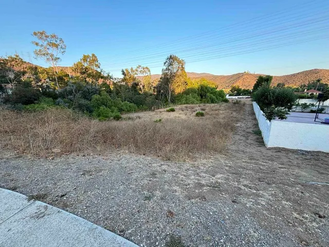 a view of a dry yard with trees