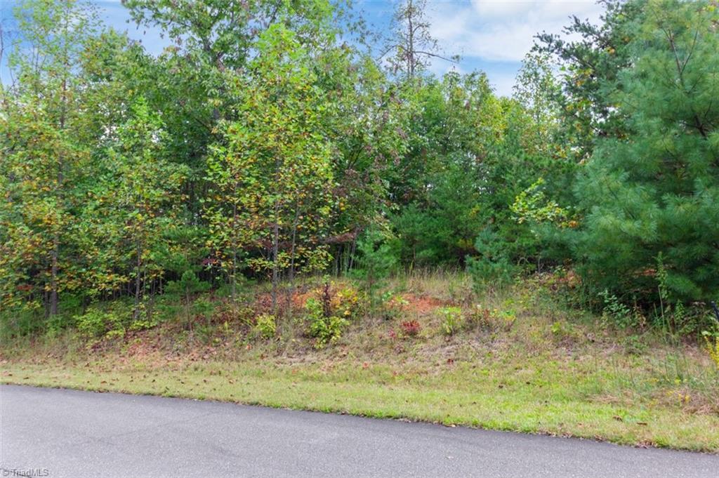 0 Ridge Run Road, Unit LOT 84 Boomer, NC 28606 - Photo 3 of 5