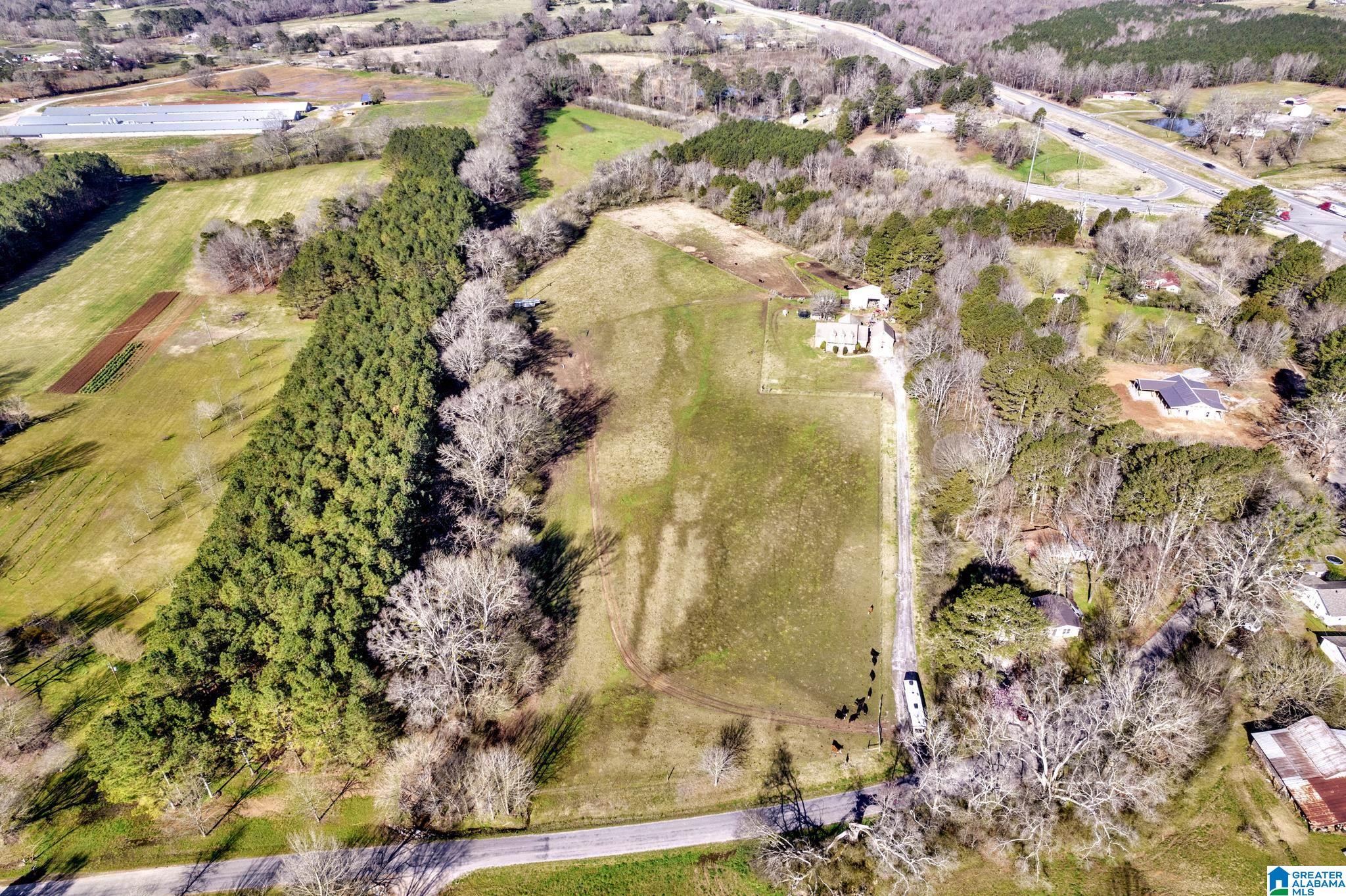 5353 Old Scott Road Blountsville, AL 35031 - Photo 30 of 41