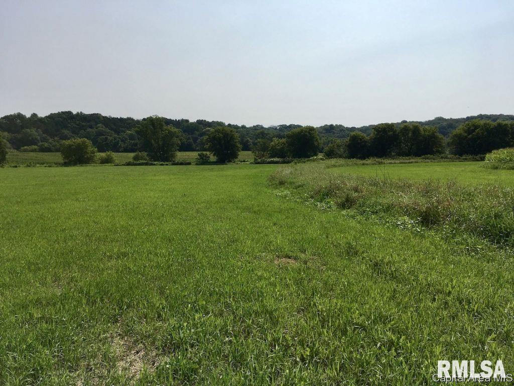 -14 Acres) Messmer Road Savanna, IL 61074 - Photo 12 of 13 Gallery Image 12